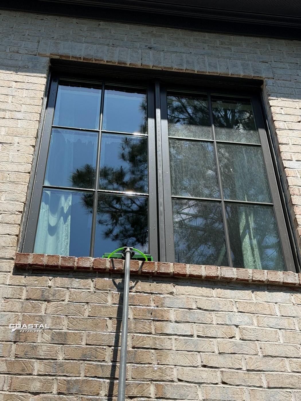 Freshly cleaned black-framed windows on a Charlotte brick home