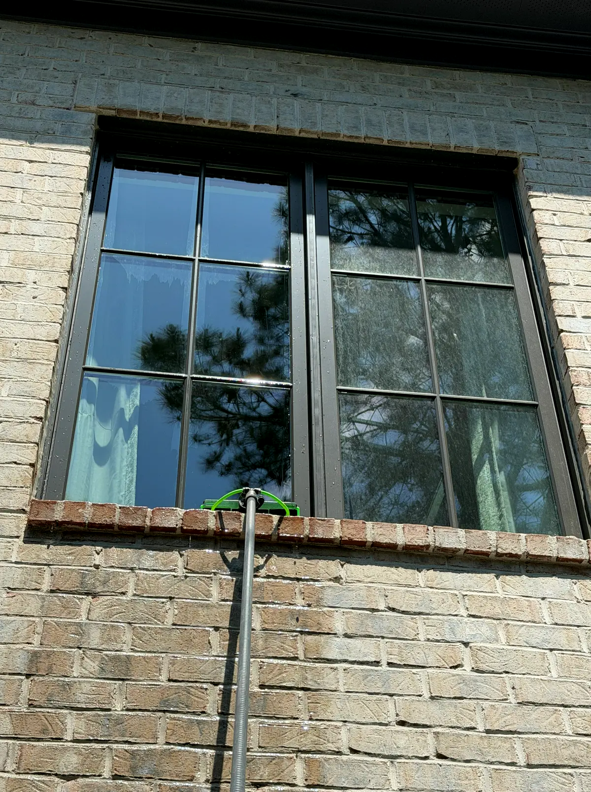 Technician cleaning exterior windows with a water-fed pole